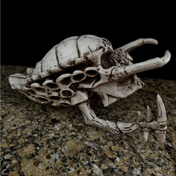 Predator skull Yautja Trophy from Alien vs. Predator and Predator movies Resin - Picture 5 of 10